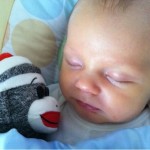 Monkey buddy